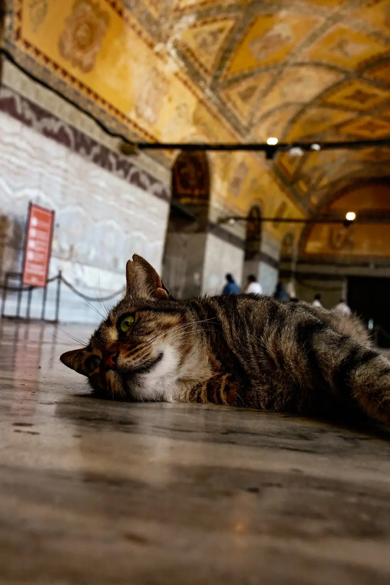 Un gato descansa en la galería superior junto a la balaustrada de mármol.